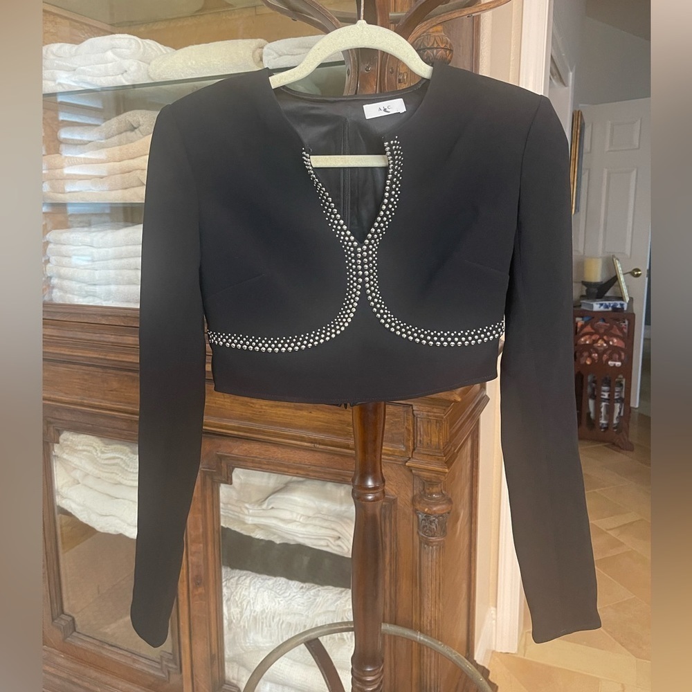 EUC A.L.C. Formal studded cropped top. A.L.C. - Picture 6 of 7